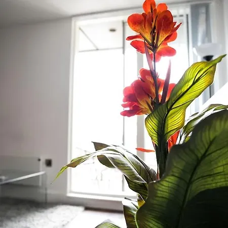 Apartment Modern 2 Bedroom - Centre - Parking *
