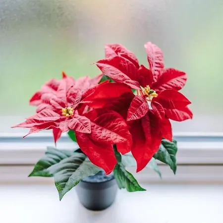 The Kempster Garden House *