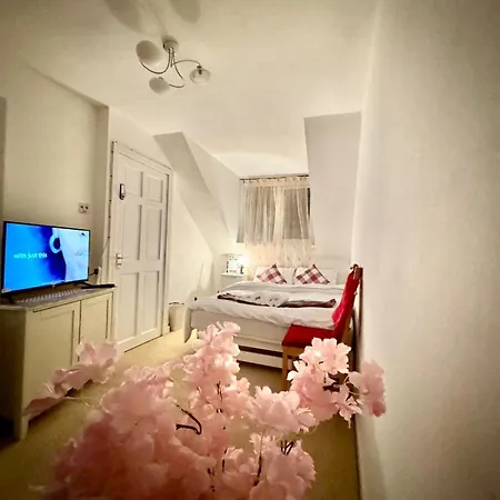 Guest house Ever United *