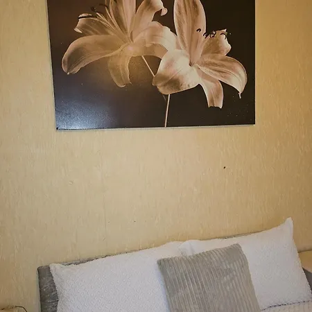 Go Big ! Entire Cozy House For Max 8 People Near Center *