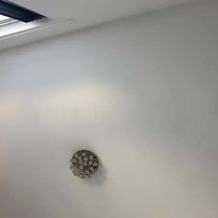 Dequavis Property 1 マンチェスター