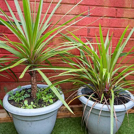 בית נופש Charming Victorian Retreat 4br House In *