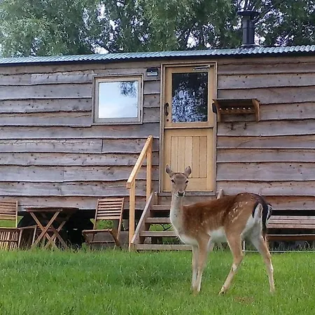 Bredon Hill Shepherds Hut & Hot Tub Holiday home Manchester