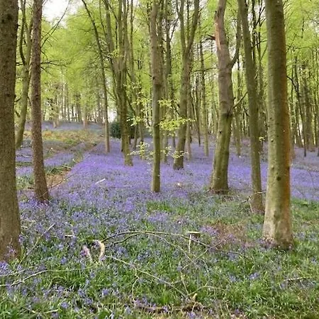 Beautiful Cotswold With Hot Tub *