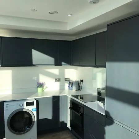 Prime Central-luxury 1br Apartment-free Parking-fast Wi-fi Apartment