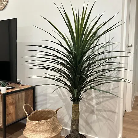 Bohemian With Terrace & Gym Apartment *