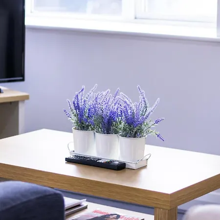 Great 2bed In Salford Quays With Water View Apartamento *