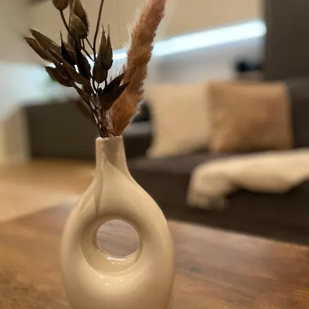 Apartment Spacious Terrace Gym Free Parking