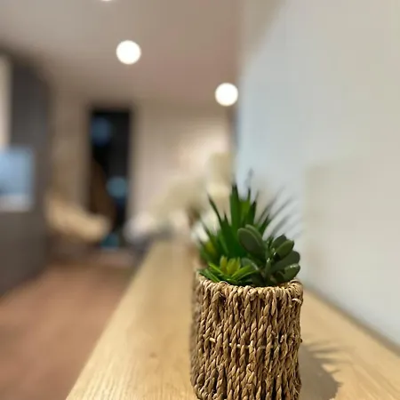 Spacious Terrace Gym Free Parking Apartment