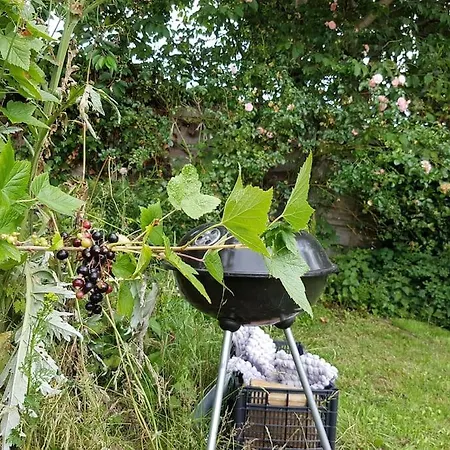 An Oasis Of Calm Next To M'cr Centre + Parking マンチェスター