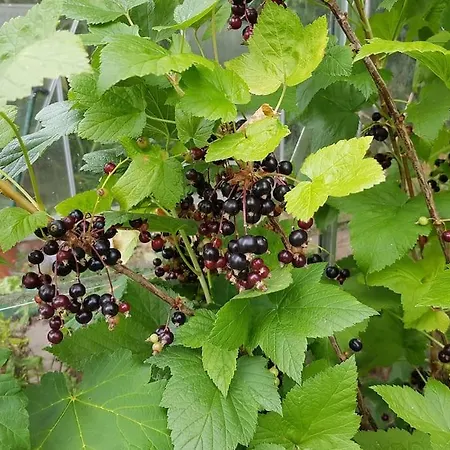 An Oasis Of Calm Next To M'cr Centre + Parking 別荘 マンチェスター