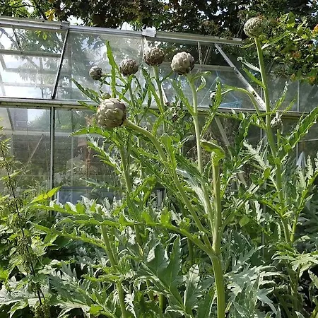 An Oasis Of Calm Next To M'cr Centre + Parking * Manchester