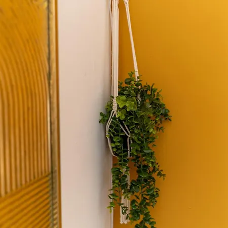 Casa de Férias Alma Co-living - Private Self-cater *