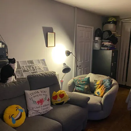 Comfortable Cat-friendly With Garden & Parking *