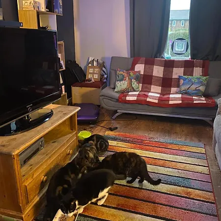 Homestay Cosy With Parking & Garden
