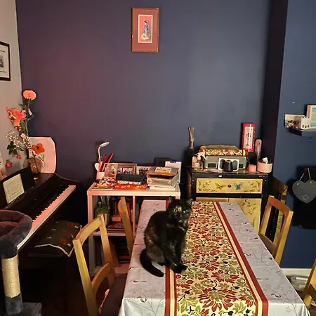 Comfortable Cat-friendly With Garden & Parking Privat bolig Manchester