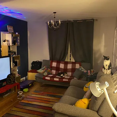 בית אירוח Comfortable Cat-friendly With Garden & Parking מנצ'סטר