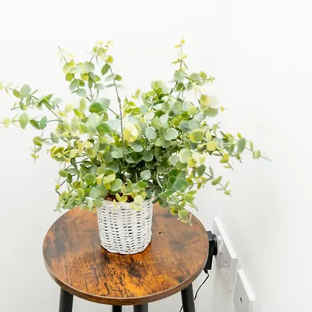 Lejlighed Cityside Deluxe - 3 Bedroom House Great For Family With Free Parking & Garden Manchester