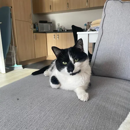 Escape - Private & Bathroom Near Etihad And Coop Arena - Free Secure Parking