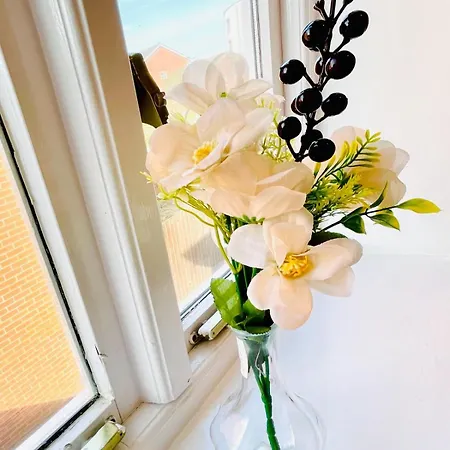 Modern 3 Bedroom Flat Near & Hulme Park Apartment Manchester