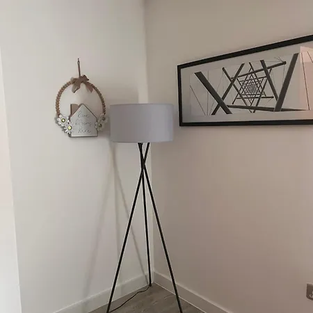 Tranquil Urban-city Space Apartment