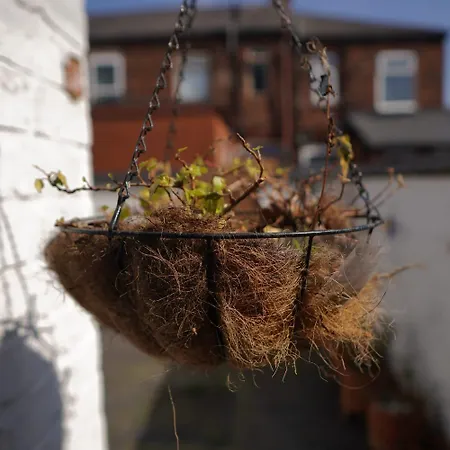 Apartment Heaven Chic