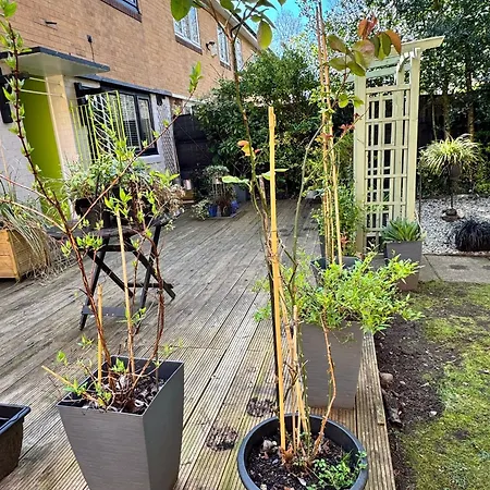 בית נופש The Secret Garden Retreat With Hot Tub *