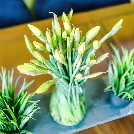 Huge 5 Bedroom Townhouse In Salford, Free Parking, Sleeps Up To 11 Guests Apartment Manchester