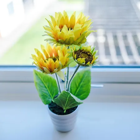 Lejlighed Huge 5 Bedroom Townhouse In Salford, Free Parking, Sleeps Up To 11 Guests Manchester