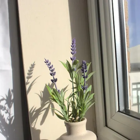 Hub - 2br With Free Parking, Near Airport & Attractions