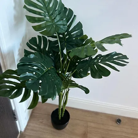 Apartament Spacious - Next To Ao Arena & Picadilly Station - Local Attractions - Free Parking Manchester