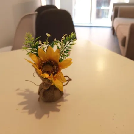 Bee Cosy - Greater Centre Manchester