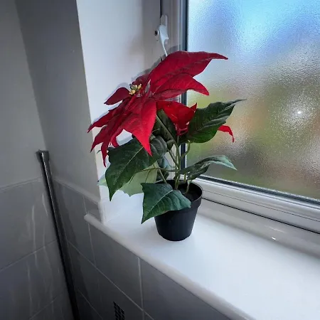 Casa vacanze Blue Haven Manchester