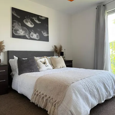 Cozy By Etihad And Coop Live Arena Homestay