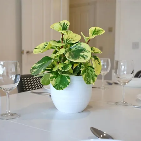 Semesterbostad Pass The Keys Stylish House With Balcony Close To Ao Arena *