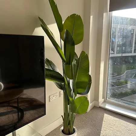 Modern 2 Bd - Mcr - Terrace - Free Parking