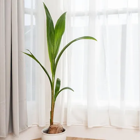 6-bedroom, 6-bathroom Contractor Semesterbostad Manchester