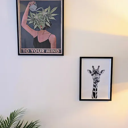 Reach - King Bed, Parking, 2 Tvs, O2 Apollo, Hospital & Oxford Road * Manchester