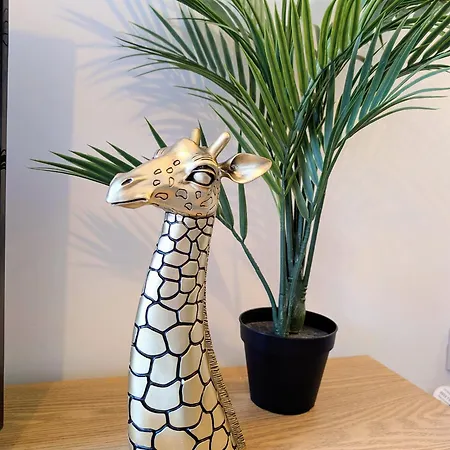 Reach - King Bed, Parking, 2 Tvs, O2 Apollo, Hospital & Oxford Road