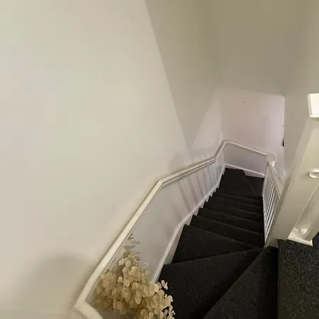 Apartament The Olive