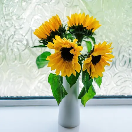 3 Bedroom In Prestwich 15 Mins From Centre Garden Free Parking Superfast Wifi Netflix *