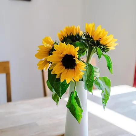 3 Bedroom In Prestwich 15 Mins From Centre Garden Free Parking Superfast Wifi Netflix 펜션