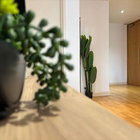 Lux 2bed Centre And Ao Arena Free Parking Modern Manchester
