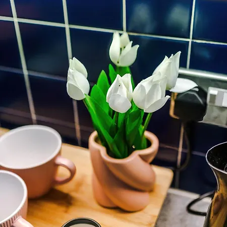 Mcr 2br 2ba, Parking, Wifi, Full Kitchen *