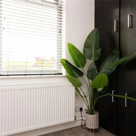 Charming 3mins From Airport * Manchester