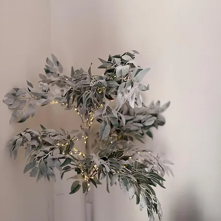 Flat In - Dudley's Dove Апартаменты