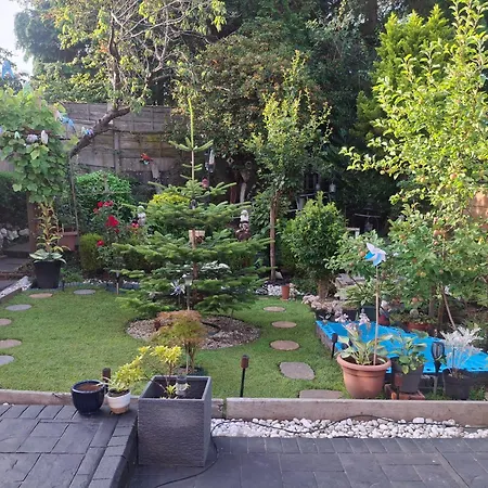 Bella Thorpe * מנצ'סטר