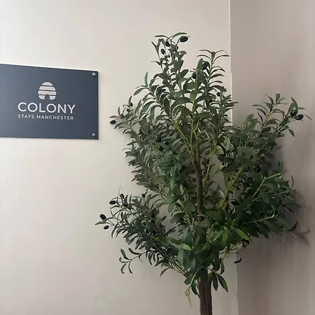 Deluxe Double Parking