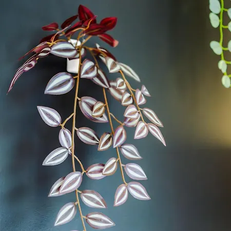 Appartement Stylish 2-bed Apartment, Sleeps 6, Free Parking Manchester