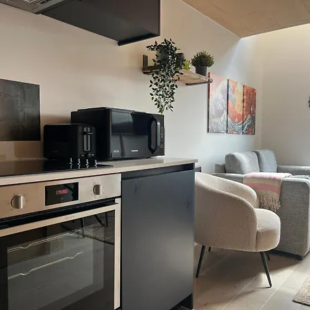 Apartman Stylish Duplex In